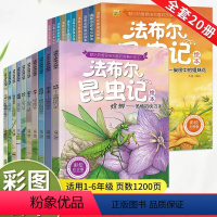 全套20册[1-6年级完整版]法布尔昆虫记 [正版]法布尔昆虫记全套10册原著完整版注音版小学生课外阅读书籍小学一年级二