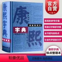 [正版]康熙字典标点整理本 汉语大词典编纂处书籍部首分类法笔画排列单字共收录汉字47035学术实用性高水平 上海辞书出