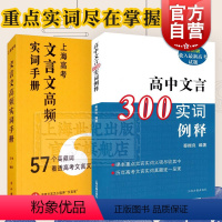 2册 / 高中文言300实词例释+高考文言文高频实词手册 高中通用 [正版]高中文言300实词例释/高考文言文高频实词手