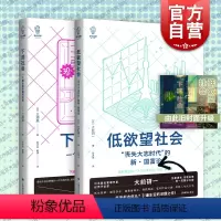 [正版]看日本 下流社会/低欲望社会 大前研一 三浦展著作集上海译文出版社外国纪实文学