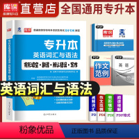 [正版]天一库课2023年普通高校专升本考试英语词汇与语法完形填空翻译辨认错误写作词汇统招专升本专插本河南安徽四川广东