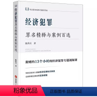 [正版]经济犯罪罪名精释与案例百选 陈洪兵 刑法罪名精释与案例百选丛书 经济犯罪知识体系 法律社 刑法理论司法实务 刑