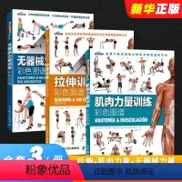 [正版]全套3册 拉伸训练彩色图谱 肌肉力量训练彩色图谱 无器械力量训练彩色图谱 图解运动健身健美训练书健身书籍