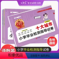 语文 小学通用 [正版]小升初城市卷王朝霞十大城市小学毕业检测指导卷真题小学升初中招生考试语文数学英语六年级毕业分班卷郑