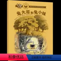 兔大哥和兔小妹 [正版]3-8岁生命的礼物林格伦奖哲理绘本兔大哥和兔小妹 乌尔夫尼尔松等著 三联生活周刊主笔陈赛真情林格