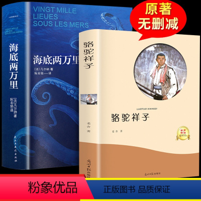 [正版]海底两万里 (法)儒勒·凡尔纳(Jules Verne) 著;曾觉之 译 世界名著文学 中国青年出版社 书籍畅