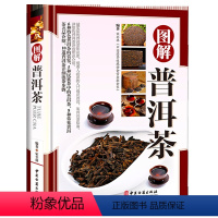 [正版]图解普洱茶精装茶叶品鉴研究书籍大全茶文化迷上普洱帝国易武与古六大茶山云南山头茶经典普洱名词释义普洱茶论品鉴与经