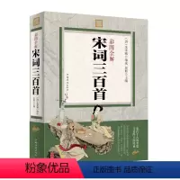 [正版]彩图全解宋词三百首图解祥析书籍 图文详解精选 详注详析原文注释 词意 文白对照 唐诗三百首 宋词三百首 元曲三