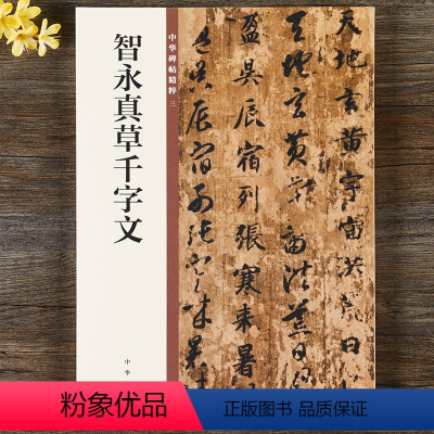 [正版] 智永真草千字文 中华书局 16开草书楷书毛笔书法字帖 中华碑帖精粹三 简体旁注