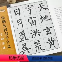 [正版]集柳公权书千字文·玄秘塔碑-集字柳体楷书毛笔书法字帖 初学者入门赏析临摹创作 江西美术出版社