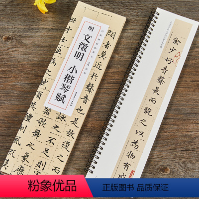 [正版]明文徵明小楷琴赋 经典碑帖临摹卡 洪亮主编 文征明琴赋 近距离临摹字卡 蝇头小楷书法字帖临摹练字帖 全文无删减