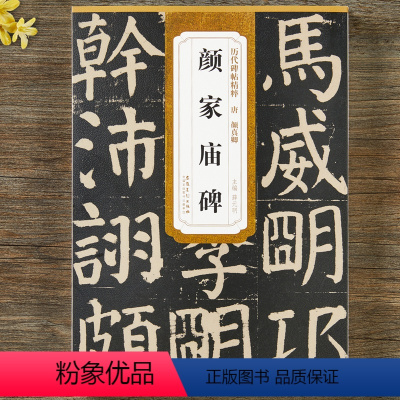 [正版] 唐 颜真卿颜家庙碑 历代碑帖精粹颜体楷书毛笔书法字帖原帖临习 附带技法解析薛远明编 安徽美术出版社