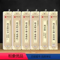 [正版]共6本赵孟俯小楷道德经闲邪公家传赵孟頫楷书硬笔汲黯传胆巴碑节选近距离临摹字卡毛笔练字帖赵孟俯行书洛神赋赤壁赋