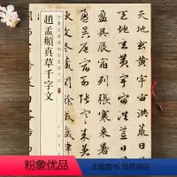 [正版] 赵孟頫真草千字文 八开草书毛笔临摹原帖 中华经典碑帖彩色放大本 中华书局 书法字帖 简体旁注 孙宝文