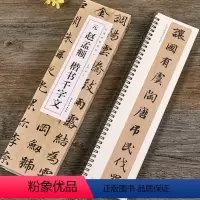 [正版]经典碑帖临摹卡赵孟俯楷书千字文 共二卷楷书近距离学生法帖临摹毛笔书法字帖赵体赵孟頫临帖卡