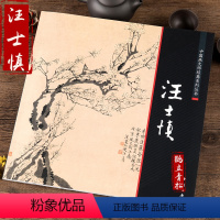 [正版]中国画大师经典系列丛书 汪士慎梅花 画集 画册 艺术图书书籍