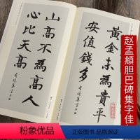 [正版]赵孟頫胆巴碑集字佳句 中国历代名碑名帖集字系列 毛笔软笔楷书书法字帖附简体释文安徽美术出版社