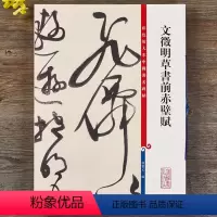 [正版]文徵明草书前赤壁赋彩色放大本中国著名碑帖繁体旁注孙宝文文征明毛笔字帖书法临摹帖古帖拓本籍 上海辞书出版社