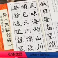 [正版]集张猛龙碑贾岛五言古诗好诗 中国历代名碑名帖丛书 集字毛笔楷书魏碑碑帖书法字帖 安徽美术出版社