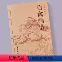 [正版]百禽画谱 中国画线描工笔白描禽鸟翎毛图集 花鸟画底稿临摹范本 百禽画谱天津杨柳青画社作品集图书