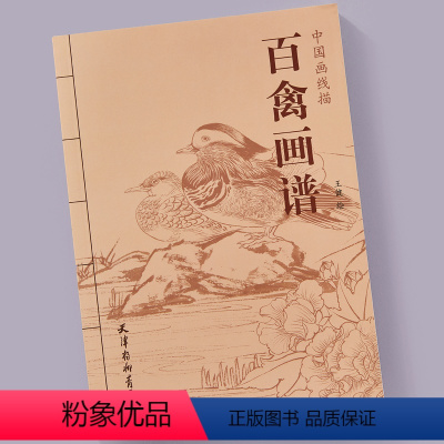 [正版]百禽画谱 中国画线描工笔白描禽鸟翎毛图集 花鸟画底稿临摹范本 百禽画谱天津杨柳青画社作品集图书