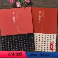 [正版]唐 小楷精选(一)(二)共2册 灵飞经 兜沙经善见律卷 简体旁注 历代名家小楷系列 毛笔书法字帖 小楷毛笔字帖