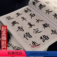 [正版]赵体赵孟頫胆巴碑行楷楷书书法毛笔字放大本