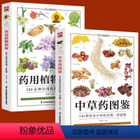 [正版]铜版纸全2册药用植物图鉴+中草药图鉴中草药野外识别图鉴中草药书入门医学书籍中医入门初学者常见中草药自学药学中药