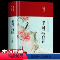 [正版]3本35元 精装彩图全解宋词三百首全集宋词鉴赏辞典赏析全解原文译文注释中国古诗词唐诗宋词大全集点评注释诗经楚辞