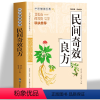 [正版]民间奇效良方 中华健康宝典系列家庭保健常见病名医良方诊断与用药 儿科妇科皮肤外科常见病诊疗指南 中草药抓配千金