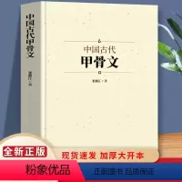 [正版]中国古代甲骨文 领略古文字风采 国学历史文字 历史古文字商 甲骨文中国文化大厚本 文字解说