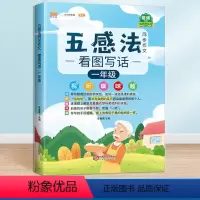 五感法看图写话 小学一年级 [正版]汉知简五感法同步作文一年级上册看图写话小学一年级上下册语文五感法看图写话说话作文专项