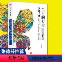 [正版]当下的力量实践手册 白金版 埃克哈特 托利 著 张德芬 活在当下 断舍离 轻松的生活 心理励志书籍