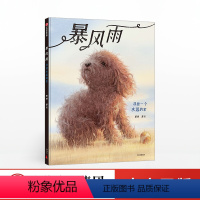 [正版]暴风雨郭婧出版社