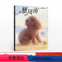 [正版]暴风雨郭婧出版社