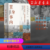 [正版]置身事内 中国政府与经济发展 兰小欢著 罗永浩王烁等联袂复旦大学经济学院教授解读经济生活背后的政府角色