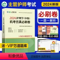 [正版]2024新版学海人民医学网护理学中级机考仿真必刷卷全国卫生专业技术资格考试辅导用书必刷题主管护师中级内科外科妇