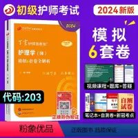 [正版]丁震医学护师2024年新版初级护师考试考前冲刺模拟6套卷全套护理学初级师历年真题模拟试卷同步练习题初级护师口袋