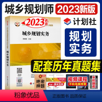 [正版]新版2023城乡规划实务 全国注册城乡规划师考试历年真题集 杨雅丽编 含6套完整的历年真题 中国计划出版社