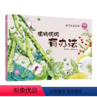 [正版]植物妈妈有办法绘本陪孩子读绘本科学启蒙系列中国儿童成长的经典童话故事精装绘本亲子阅读图画书2-3-4-5-6岁