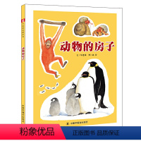 动物的房子 [正版] 动物的房子 孙俪硬壳绘本3-6岁幼儿园绘本阅读睡前故事书老师儿童时代4一5儿童书籍1-2岁宝宝绘本