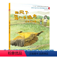 [正版]孙俪微博起风了鸟儿去远方迁徙鸟观察绘本 3-6岁「自然·动物·环保/中国原创」带回家的自然博物馆精装儿童书