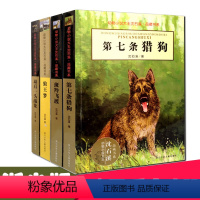 [正版]沈石溪动物小说精选(共4册)品藏书系全套狼王梦第七条猎狗斑羚飞渡后一头战象6-12岁中小学生儿童