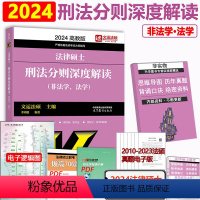 刑法分则深度解读 [正版] 文运法硕2024法律硕士联考刑法案例分析题高分攻略 李冲聪 2025刑法分析题 搭配刑法