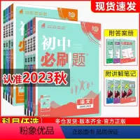 全科7本套装[人教版] 九年级下 [正版]2024初中九年级上下册数学物理化学语文英语政治历史人教版北师沪科鲁教全套试卷