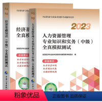 [人力+经济基础]全2本 [正版]备考2024年中级经济师全国经济专业资格考试全真模拟测试卷真题人力资源经济基础知识专业