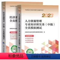 [人力+经济基础]全2本 [正版]备考2024年中级经济师全国经济专业资格考试全真模拟测试卷真题人力资源经济基础知识专业