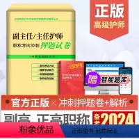 [正版]备考2024副主任主任护师职称考试冲刺卷押题试卷护理学正高副高级职称晋升题库历年真题模拟题习题集练习题卫生资格