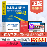 [正版]备考2024年护理学副主任主任护师职称考试强化训练5000题护师正高副高考试用书卫生高级职称考试书历年真题题库