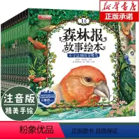 [正版]森林报故事绘本全套12册 春夏秋冬 幼儿童绘本图画故事书彩图注音版6-7-8-9-12岁一二三年级课外阅读书籍